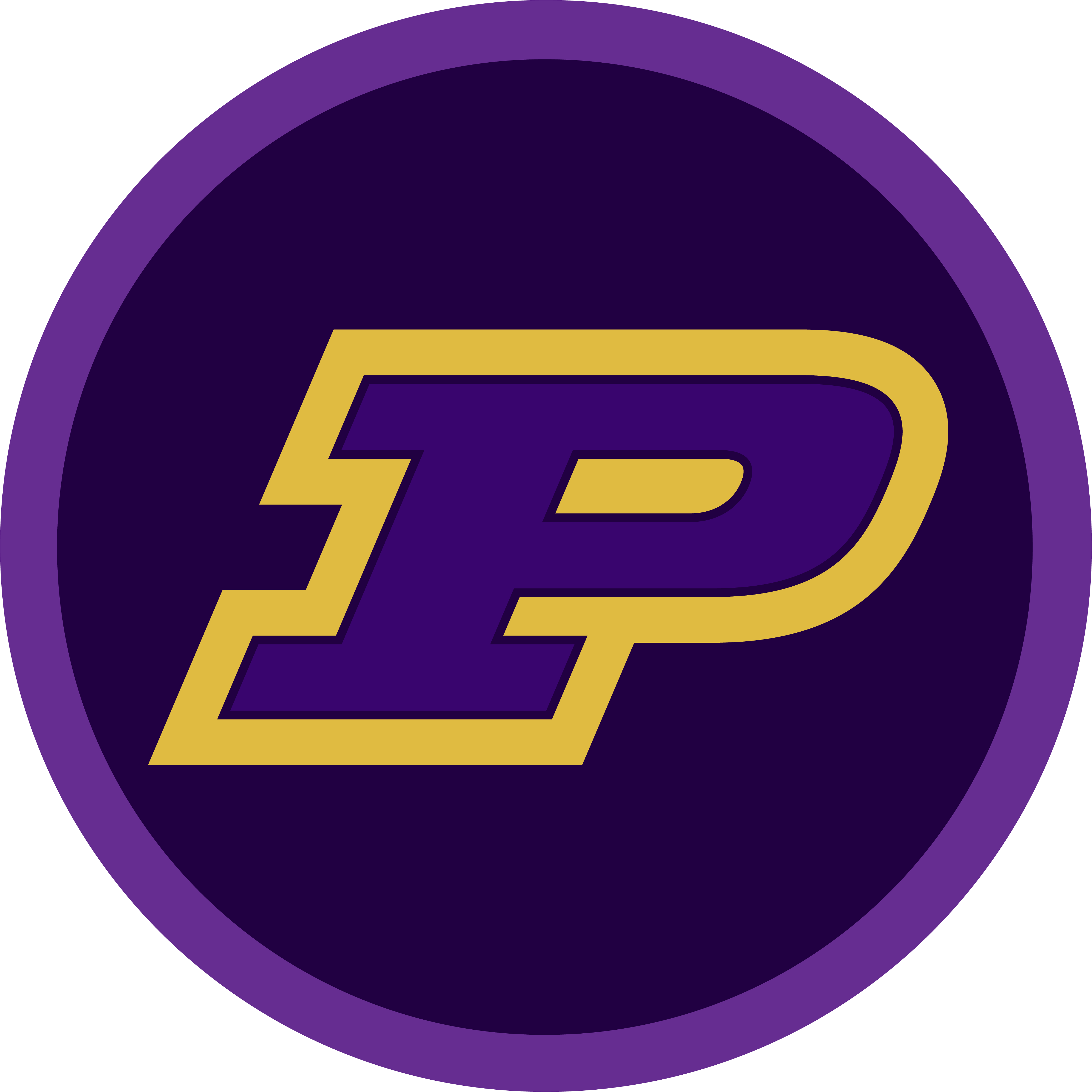 Polson School District's Logo